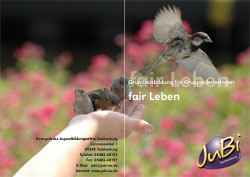 Flyer f�r die Jugenbildungsst�tte Tecklenburg