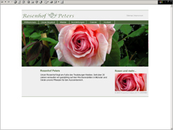 Webdesign & Programmierung f&uuml;r Rosenhof Peters, Tecklenburg
